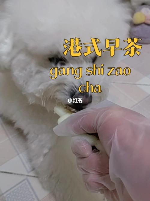 狗和人胶配方大全高清图片，探索最优质的制作技巧与注意事项