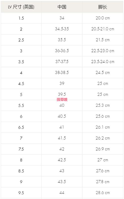 深度解析欧洲尺码、日本尺码与美国尺码，网友热议：