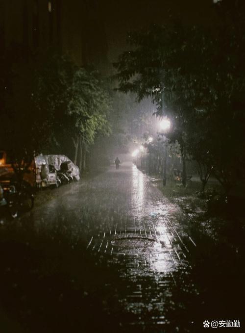  陪读晚上翻雨覆雨的背景故事：在灯下的坚守与思索