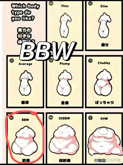  探索另类BBwBBWzⅤ1D的多元魅力