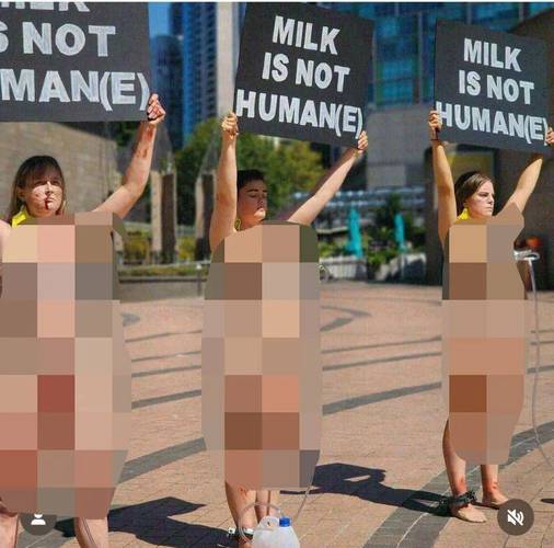 女人奶水milk的hd，网友：这是一种怎样的体验？