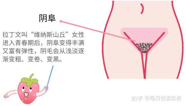 大荫蒂BBBBBB大荫蒂,网友：网红现象引发深思