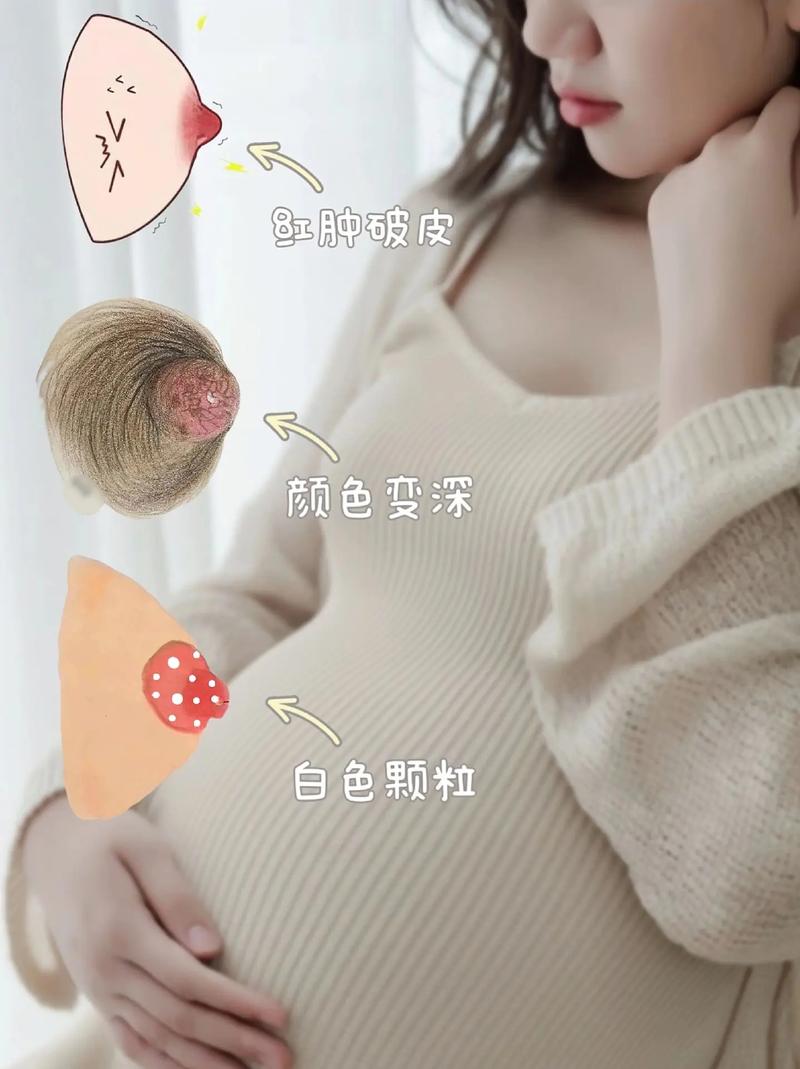 日本语2号哺乳期，网友：别让知识隔断交流的桥梁