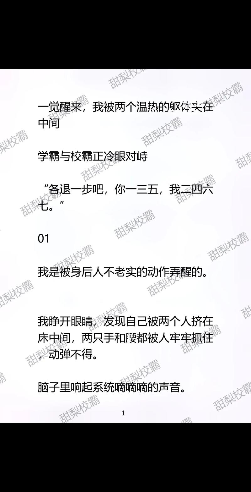  校霸是个双被爆炒TXT，网友：看完恨不得重回校园！