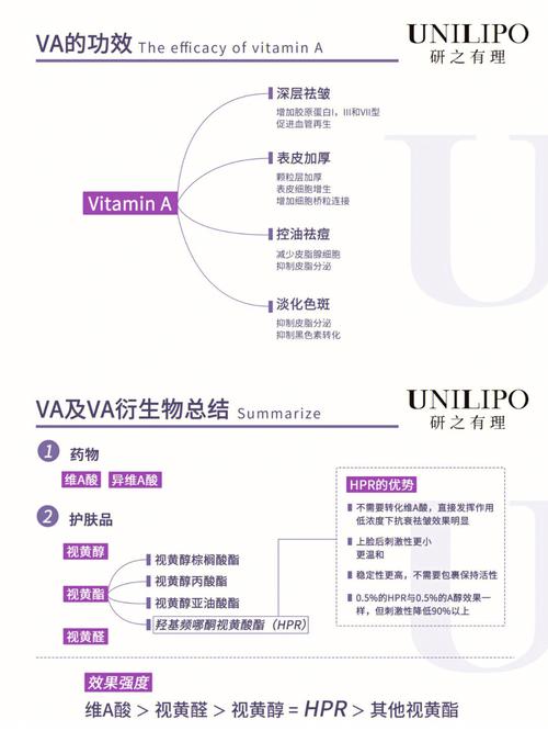  VA精华区二区区别：深入探讨它们的差异与特点