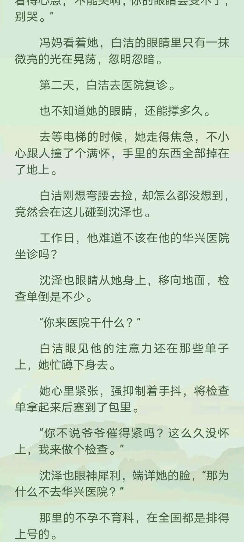 白洁高义篇，网友：正义与爱情的交织