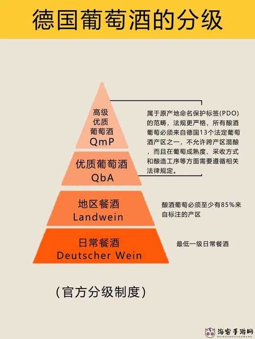 内容丰富精产国品一二三产区别手机，网友：了解手机行业的深层次分类