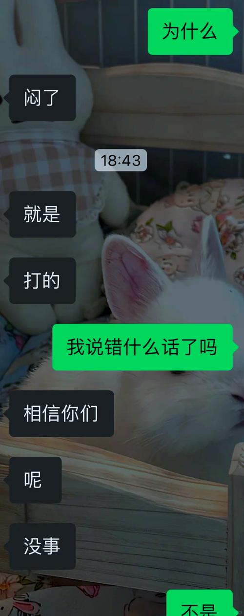 如何巧妙地劝老婆尝试三人游戏？——探讨“怎么劝老婆玩三人游戏”