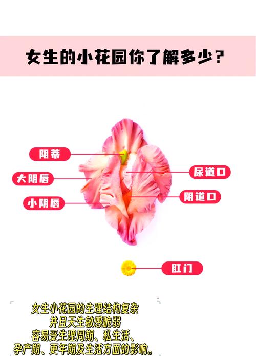 创意无限的老公吃小花园的方法，网友们纷纷点赞