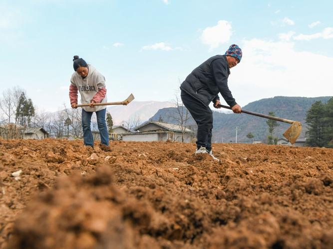 耕种妈妈肥沃的土地，网友：青春的责任与回归