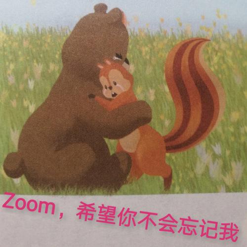 ZOOM与人性ZOOM情