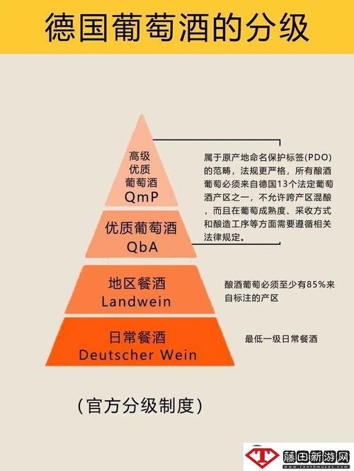 999精产国品一二三产区区别，网友：产区到底意味着什么？