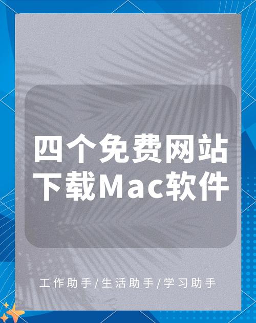 内容丰富的永久免费㊙㊙㊙未站下载，网友：这真是省钱利器！