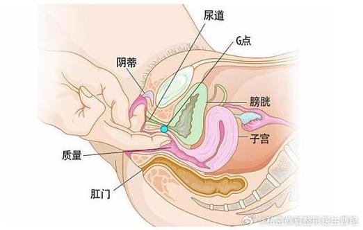  在“大荫蒂BBBBBB大荫蒂”的护佑下，追寻生活的美好