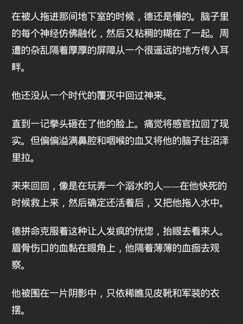  苏苏的公交车日记：那些温暖与奇遇的瞬间