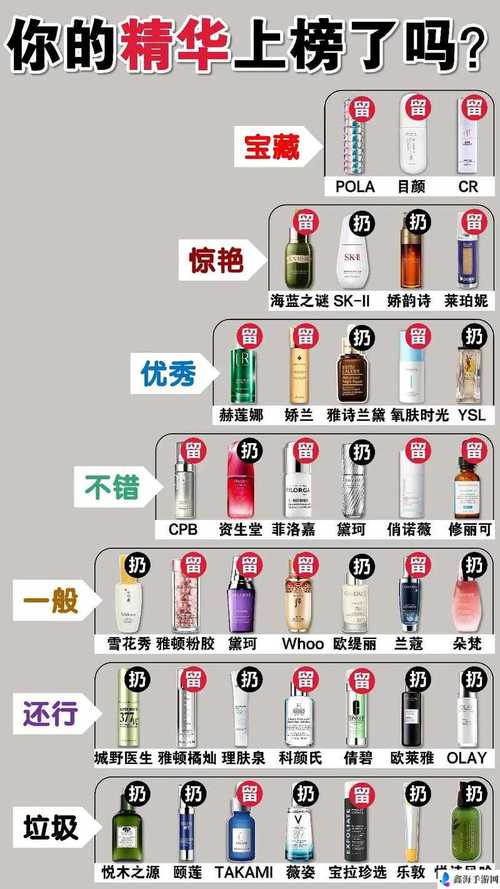  理解精华区二区区别：细致分析与解读