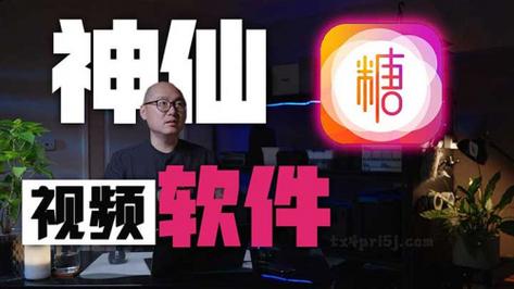 糖心vlog免费网页版，网友：体验不容错过！