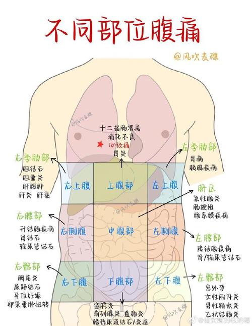 内容丰富女上男下姿势后左下腹肚子疼，探究原因与应对措施