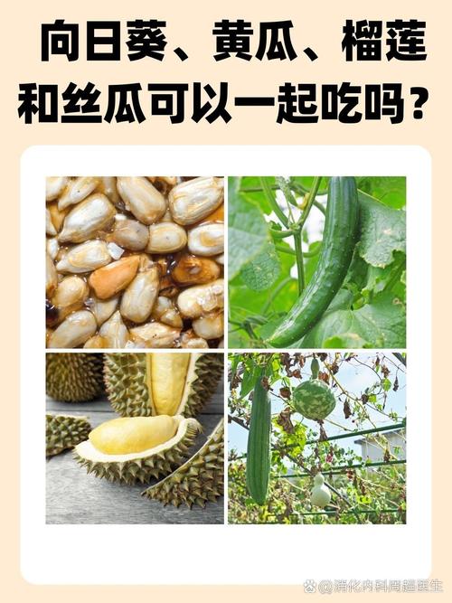  让健康与美味同行：榴莲秋葵向日葵茄子丝瓜大全的美食探秘