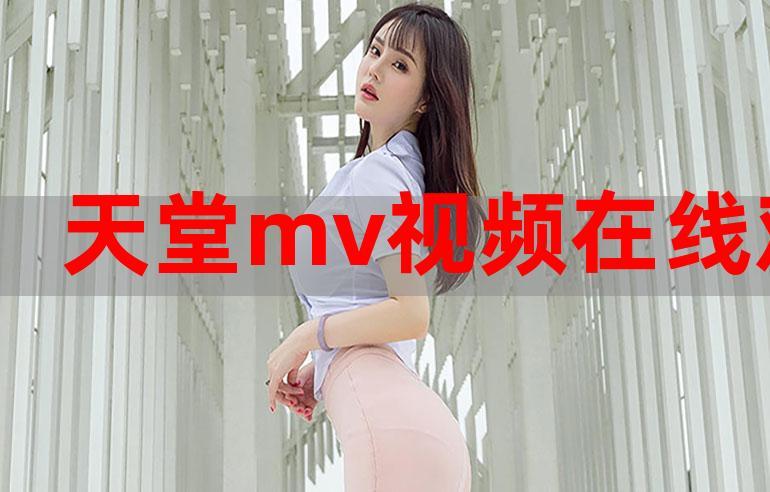 欧洲MV日韩MV国产