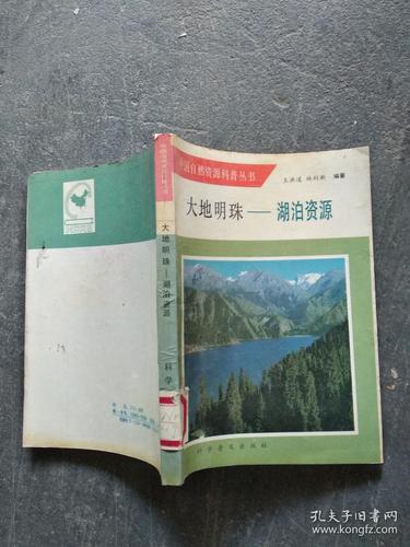 内容丰富大地资源二中文高清免费看，网友：身临其境的震撼体验