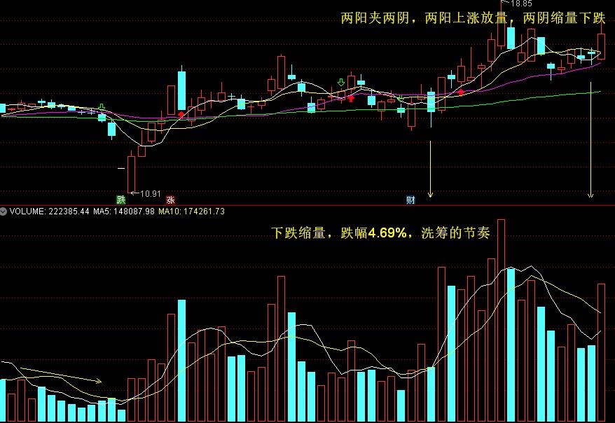  两阳夹二阴：探寻平衡之道