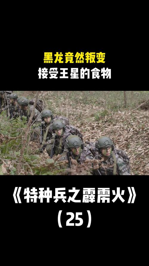 吃特种兵的大黑龙