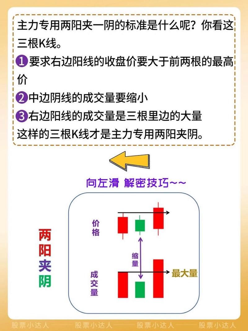 两阳加一阴是什么意思