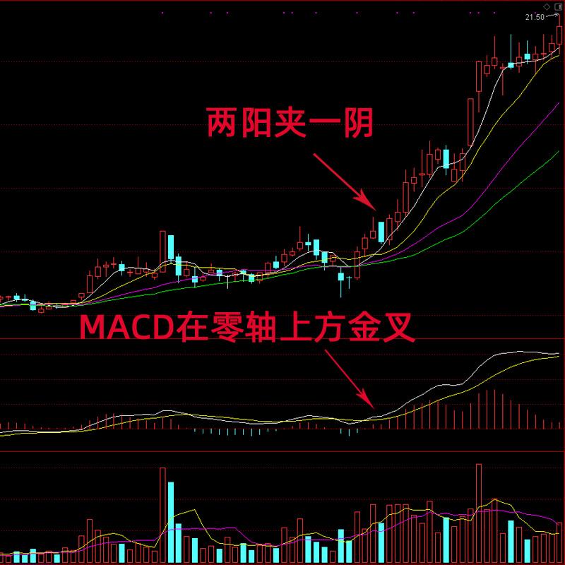 内容丰富两阳加一阴，引领生活新方式