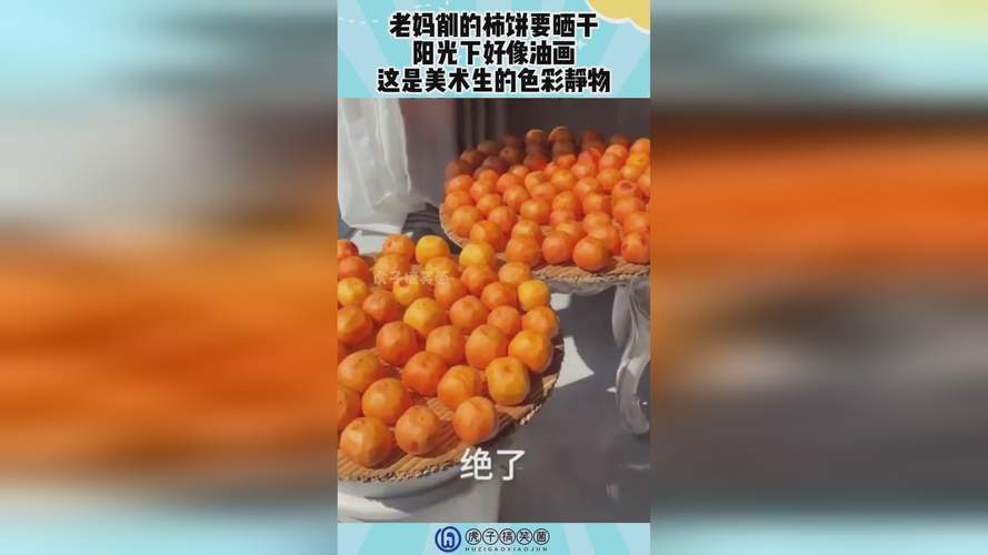  如何充分利用400多个成品视频提升你的创作灵感