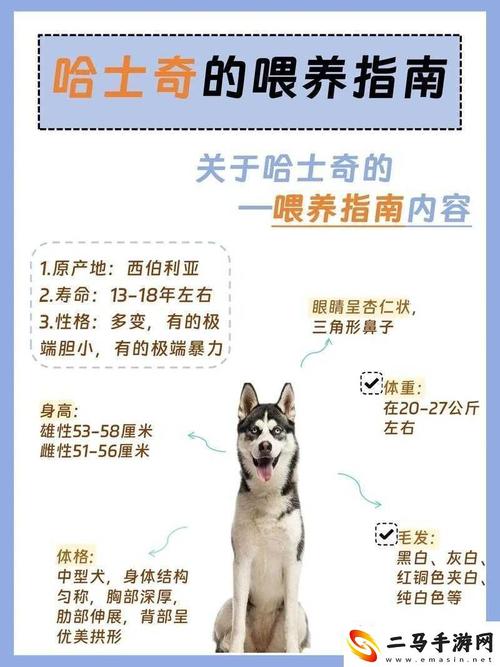 人狗胶配方大全高清4，网友：我从未想象过的养犬技巧